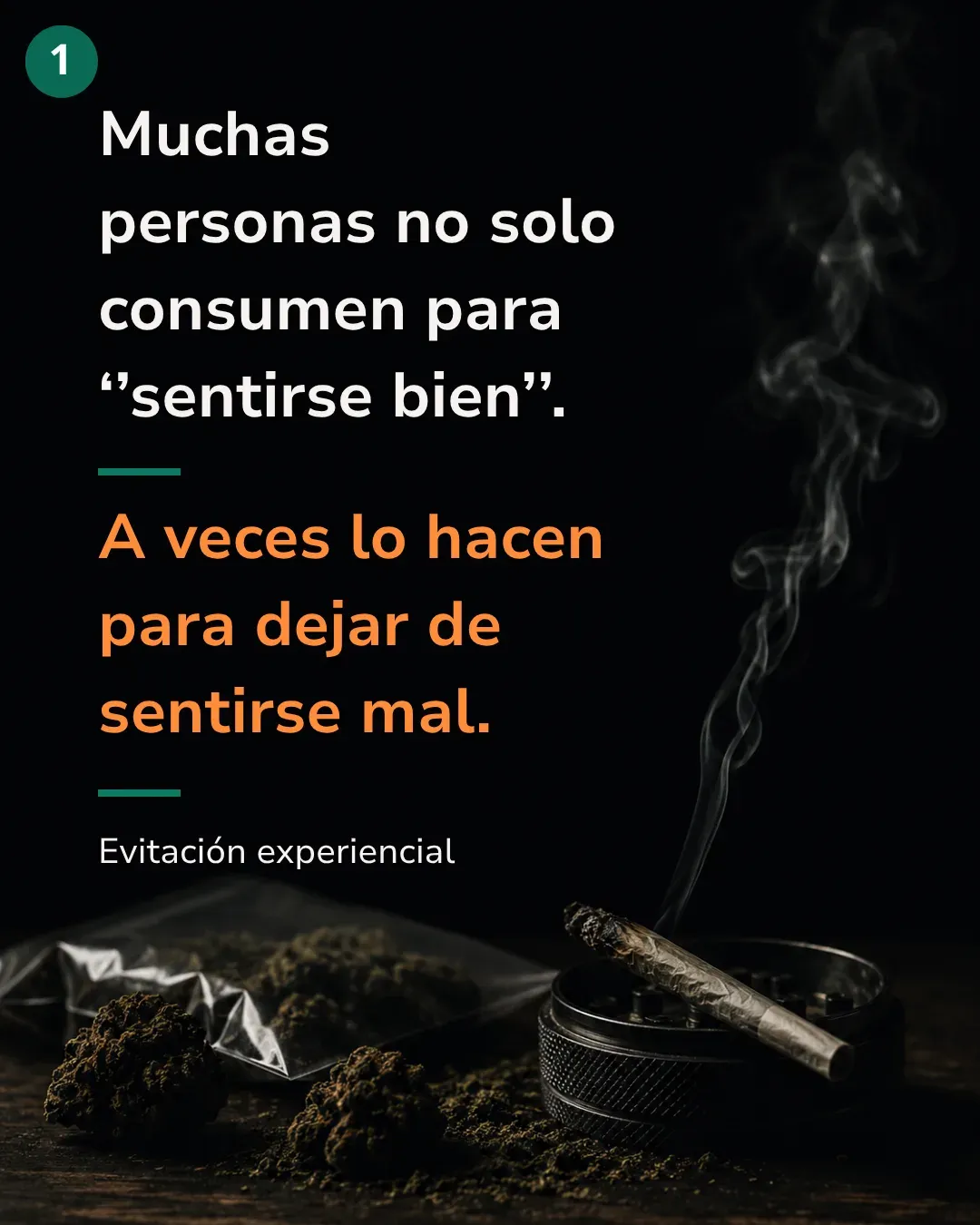 Portada del recurso: Consumo y evitación experiencial