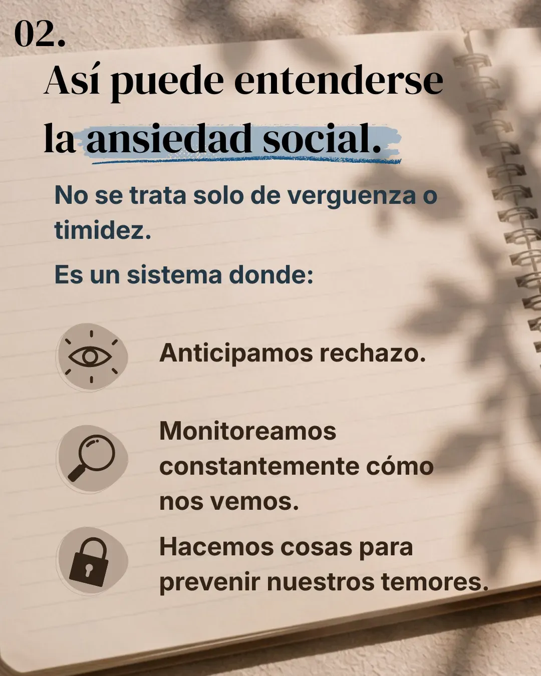 Lámina 2: Así puede entenderse la ansiedad social
