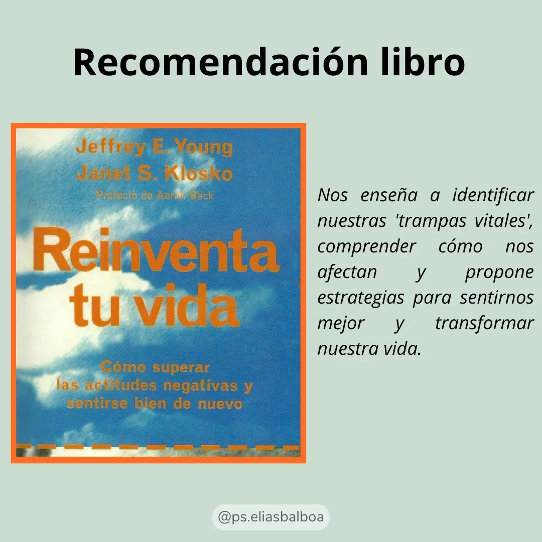 Lámina 6: Recomendación de libro